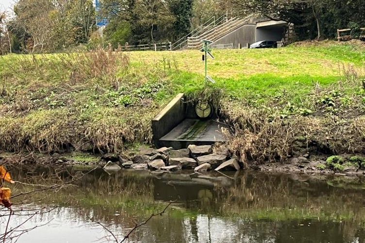 In an interview with the BBC, The Cleddau Project's Ric Cooper said campaigners had investigated the matter, because an overflow pipe at Picton playing fields appeared to be spilling more raw sewage than usual.