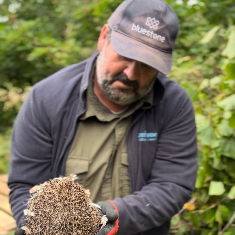 Ranger Rob on Marten's team rehoming a hedgehog