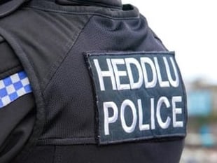 Saundersfoot man assaulted police officer
