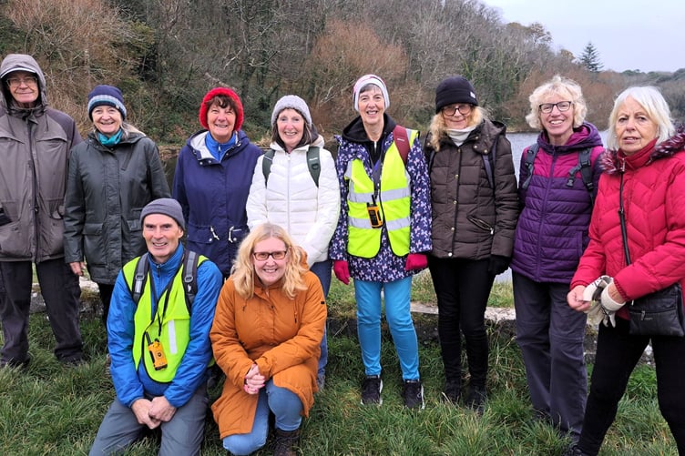 Speedies at Bosherston lily Ponds