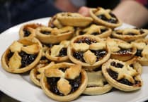 Warning: Mince pies can harm pets this Christmas