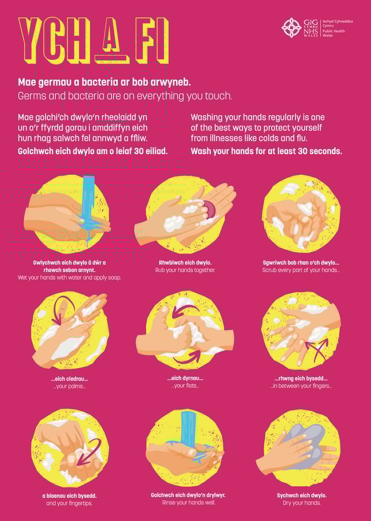 Handwashing Infographic Poster Bilingual