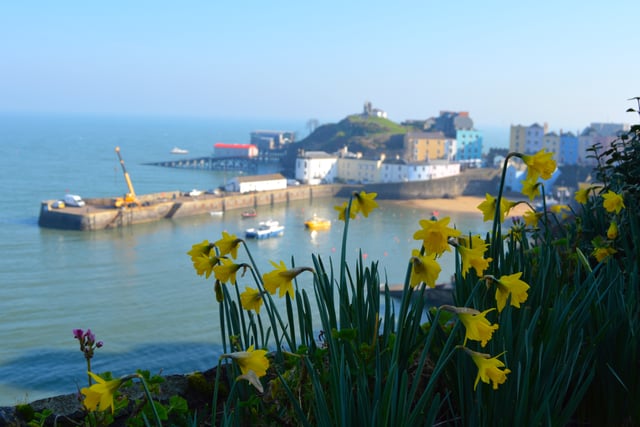 Tenby St David’s Community Festival, Feb 27 - Mar 8