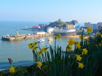 Tenby St David’s Community Festival, Feb 27 - Mar 8