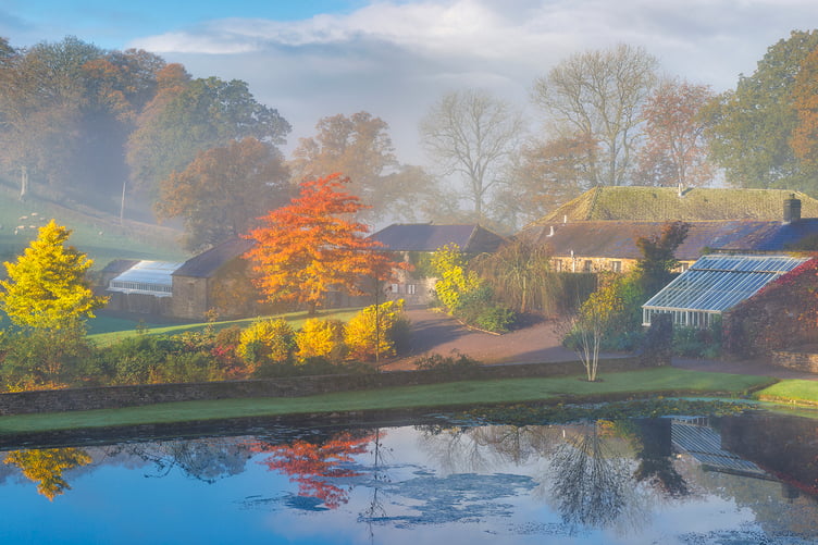 Autumn Morning, Clearing Mist - Aberglasney