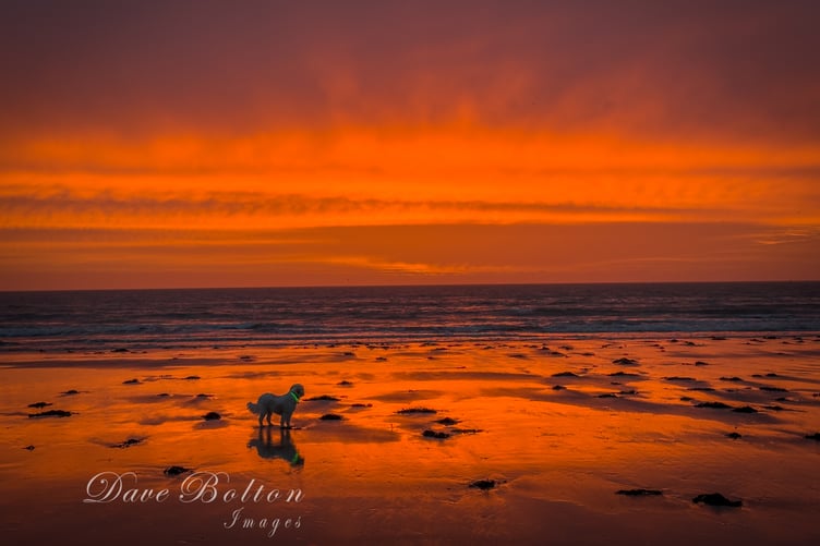 Image of Tenby by David Bolton