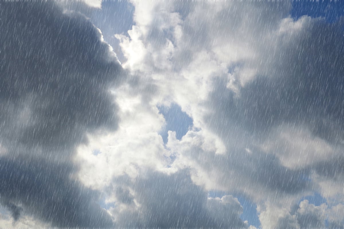 Rain persists today as moderate showers and wind continue tomorrow