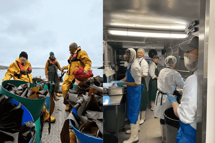 Câr-Y-Môr is helping to advance Wales’ £105M Regenerative Sea farming Industry, and has launched a crowdfunder to support growth.