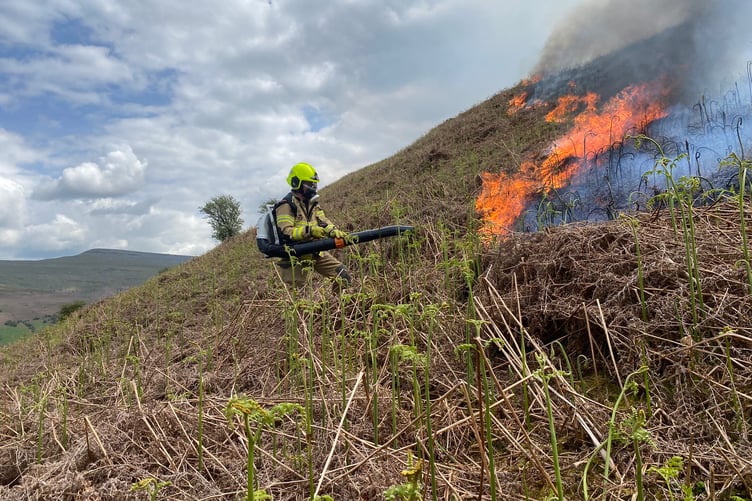 Grass fire being tackled