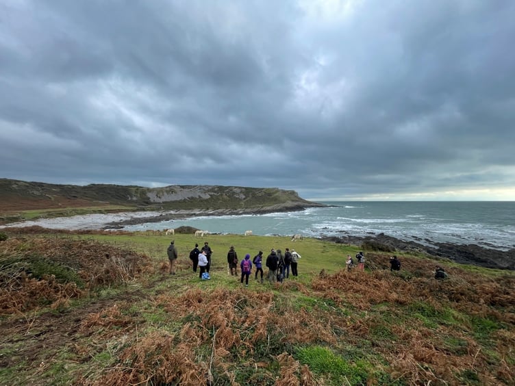 Visitors watching ponies grazing on Gower