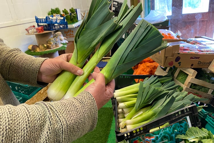 Pembrokeshire leeks for sale in the St Govan’s Centre, Pembroke Dock