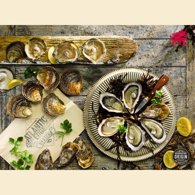 Proud to fly the flag for Welsh seafood - Atlantic Edge Oysters