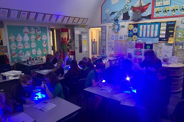 Pupils from St Dogmaels analysing their sand samples