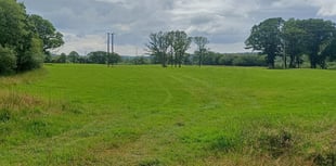 Nature reserve to expand and restore rainforest