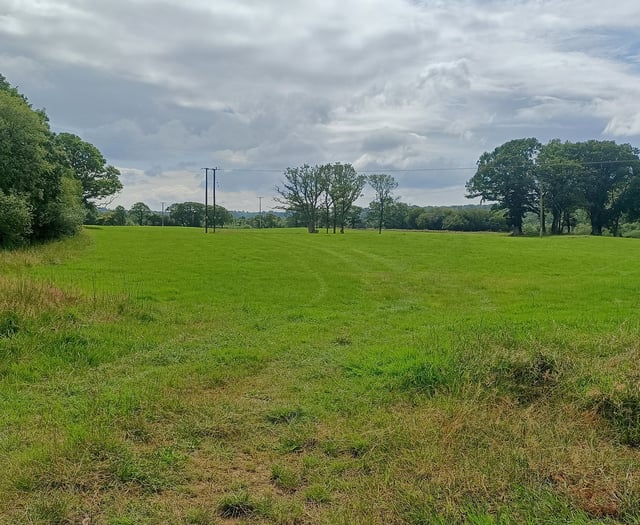 Nature reserve to expand and restore rainforest