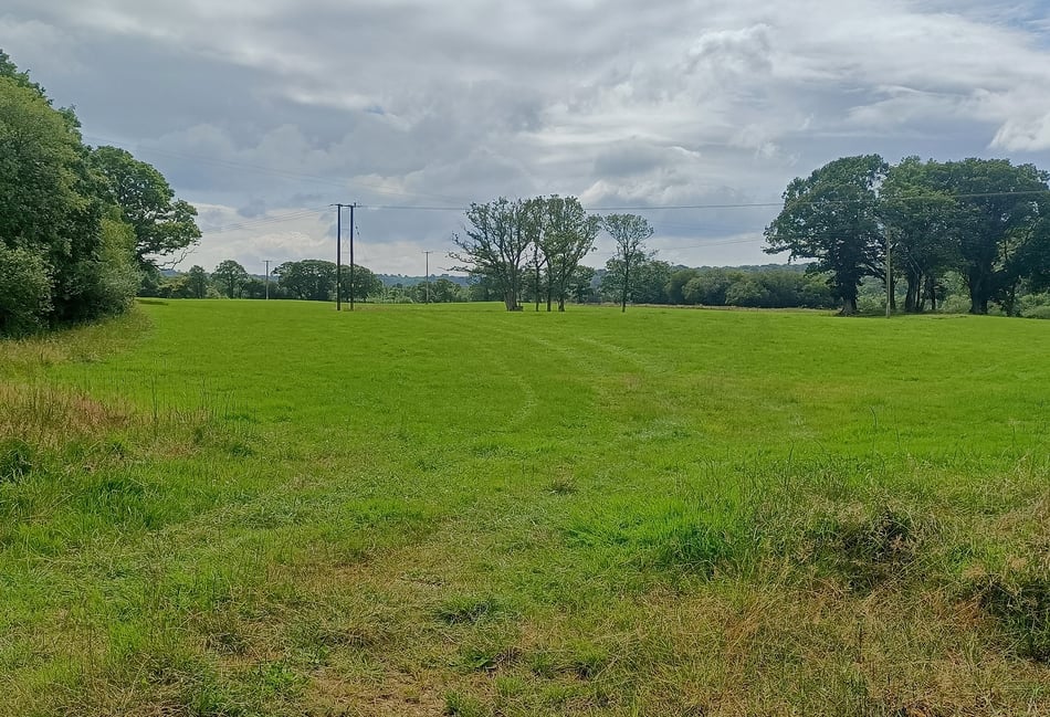 Nature reserve to expand and restore rainforest