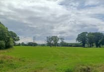 Nature reserve to expand and restore rainforest