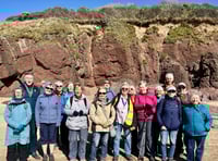 Tenby Steps2Health walking club April round-up