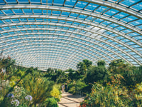 National Botanic Garden marks 25 years with bank holiday celebration
