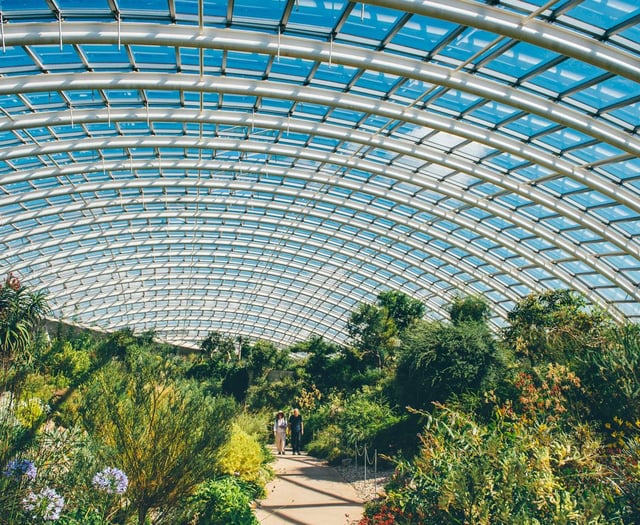 National Botanic Garden marks 25 years with bank holiday celebration