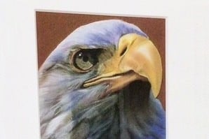 Bald Eagle: painting by Deborah Thomas