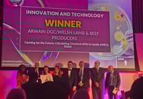 Farming: Welsh programme to tackle antibiotic resistance wins awards