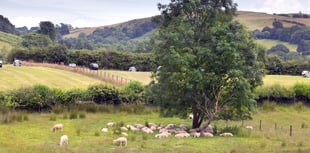 Reaction to new-look sustainable farming scheme