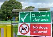 Pembroke Dock councillors discuss Memorial Park matters