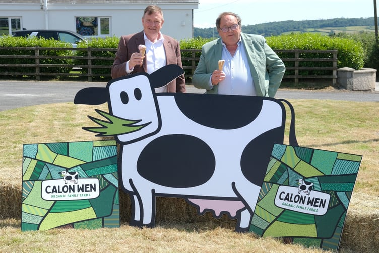 Chairman Richard Tomlinson and Managing Director Dai Miles celebrating 25 years of Carmarthenshire-based organic milk cooperative Calon Wen