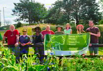Local Green Flag Awards announced as Wales sets world record