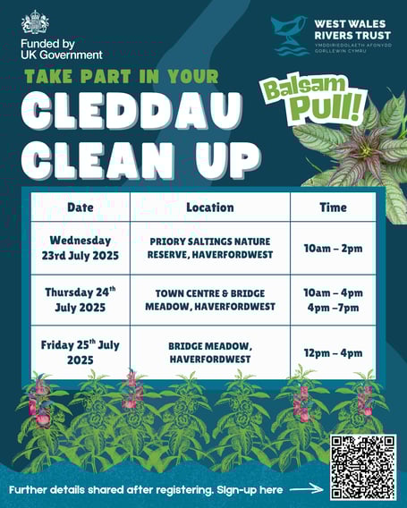 Cleddau Clean Up Balsam Pull poster