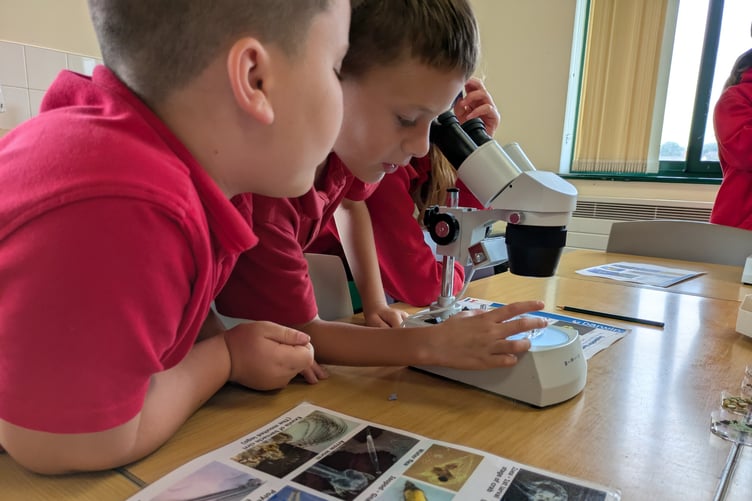 Plankton workshop with Stepaside School