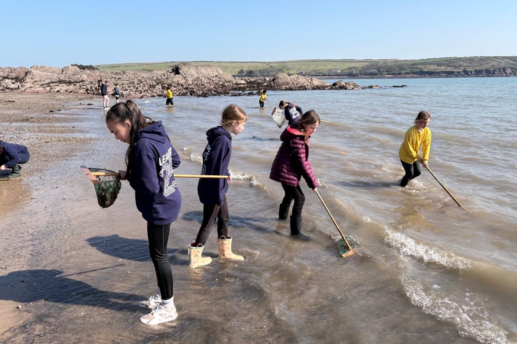 Marine Biology day with St Teilo's