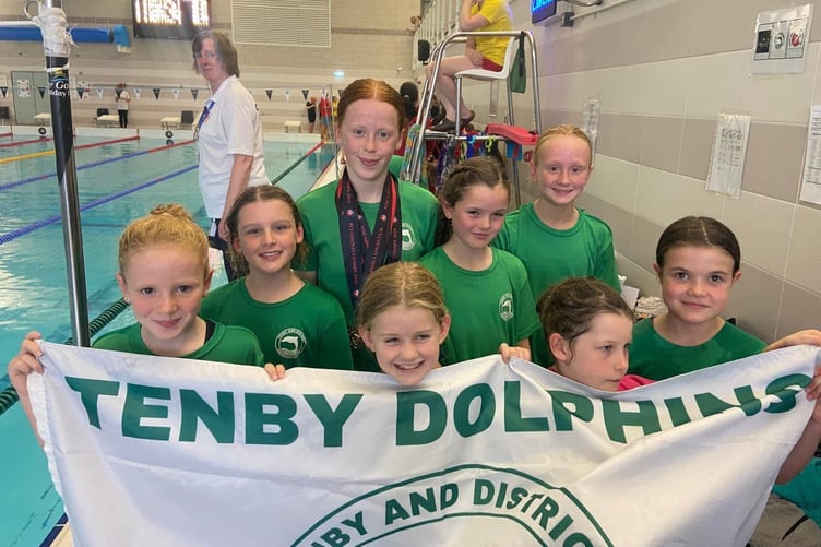 Tenby Dolphins - Banner