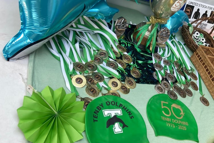 Tenby Dolphins - caps , medals, cup, mascot