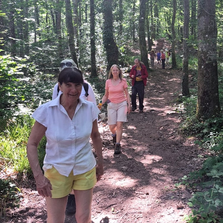 Finding the shade in Minwear Woods