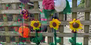 Yarn bombers brighten day for Penally Bridge Club