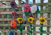 WATCH: Yarn bombers brighten day for Penally Bridge Club