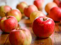 Harvest Thanksgiving at Narberth Bethesda Chapel