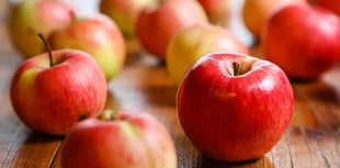 Harvest Thanksgiving at Narberth Bethesda Chapel