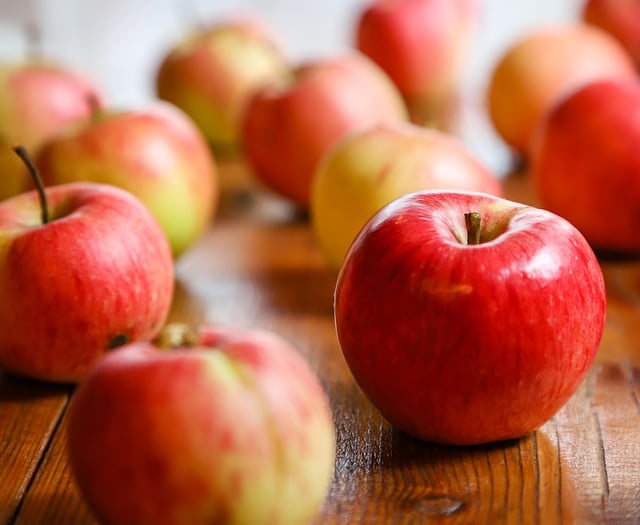 Harvest Thanksgiving at Narberth Bethesda Chapel
