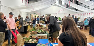 Manorbier Village Show a roaring success