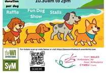 Join Freshwater East ‘Paws on the Beach’ Wales Air Ambulance fundraiser