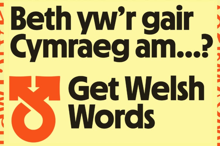 Get Welsh Words logo