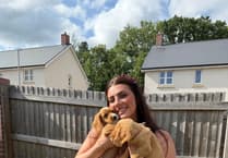 Molly to run Cardiff Half Marathon for CRY in memory of family member