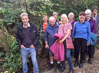 Steps2Health: September highlights