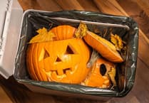 Councils warn of “frightening” waste levels this Halloween