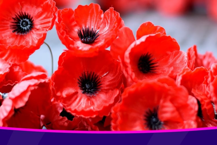 Remembrance travel 2025_cropped