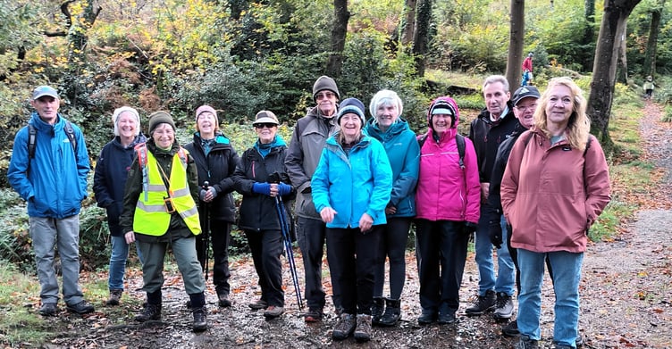 Speedies enjoying autumn at Rhode Wood, which is on the Pembrokeshire Coast Path near Monkstone Point.