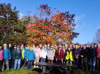 Steps2Health walking group overcomes November challenges